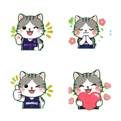 NanNyan basket cat