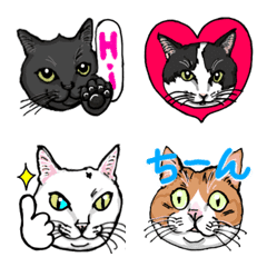 Uchi-no-Ko NYANs EMOJI 3