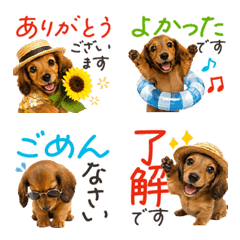 Summer Dachshund Daily Life Emojis