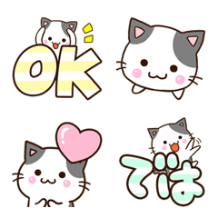 Cute Black and white cat 2