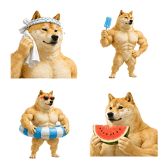 Shiba Inu Summer