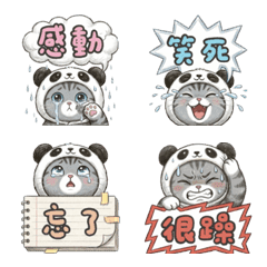 灰熊喵咪:日常的崩潰