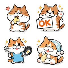 猫たま〜茶はち〜