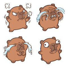 Silent Protest Grumpy Capybara