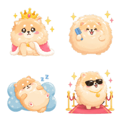 Cute soft chubby fluffy Pomeranian
