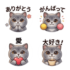 black cat kaomoji