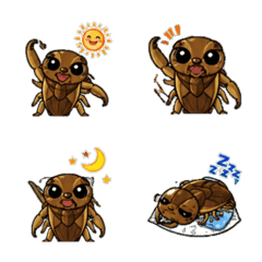 giant water bug Daily Emoji
