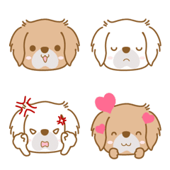 こチベっこ①