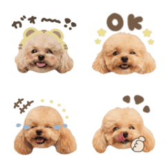 kotora.emoji