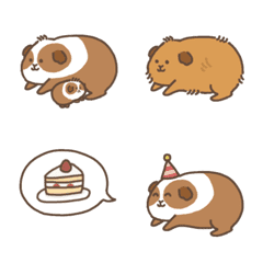 Guinea pig MORUKICHI&friends