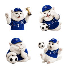 サッカー熱狂子猫