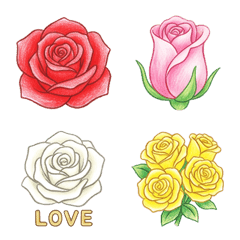 Roses drawn with colored pencils