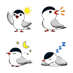 Tern Daily Emoji