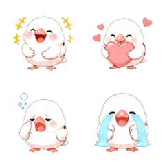 Mochi Mochi Baby Java Sparrow
