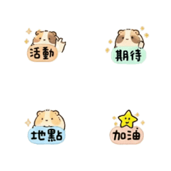 Guinea pig cute expression pack