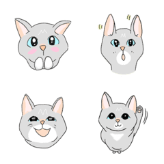 cat emoji set