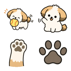 Amu's cute dog