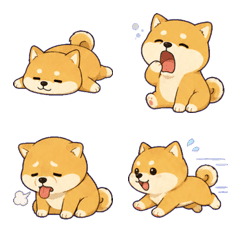 Lazy Shiba Inu0211