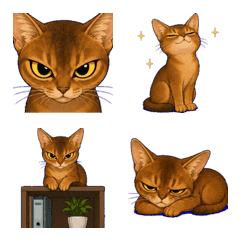 A strong-willed Abyssinian