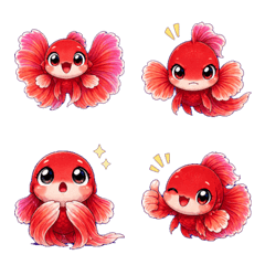 Betta fish proud of their fins