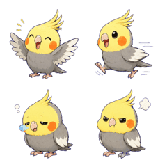 Cockatiel calling out