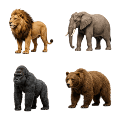 野生動物 3D
