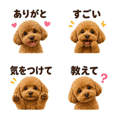 Fluffy Toy Poodle Chat Emoji