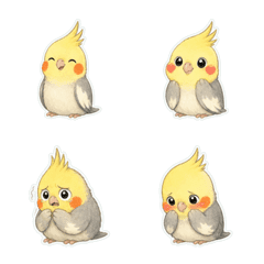 玄鳳鸚鵡微妙心情