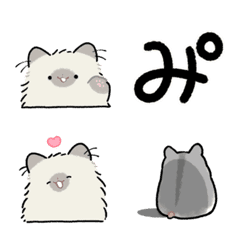 Nekochan in the Middle of the Night