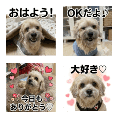チョコの絵文字ー！