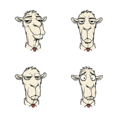 Sketch Long-Faced Camel Face 11