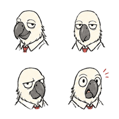 Sketch Bald-Brow Parrot Face 29