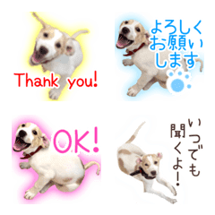 Cute puppy emoji!