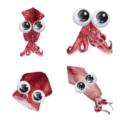 "Googlys" Baby squid