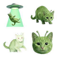 外星貓！