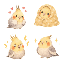 玄鳳鸚鵡｜表情貼
