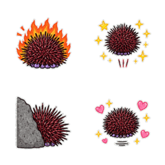 Mesocentrotus nudus Emoji