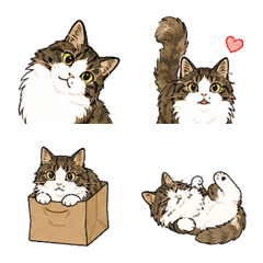 Theo the Clingy Cat Emojis