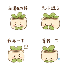 Shy Potted Plant Chat 18 DRE616