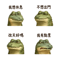 Tiny-Eyed Crocodile Chat 02 DRE616