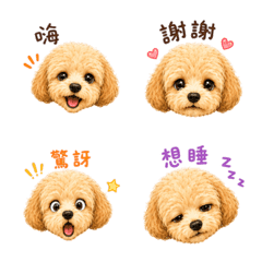 萌萌捲毛日常表情