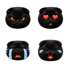 Black Fold Cat Emoji Many Moods