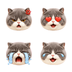 Gray White Cat Emoji Many Moods