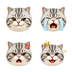 Silver Tabby Cat Emoji Many Moods