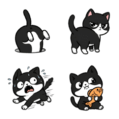 小さな黒猫ボスの日常