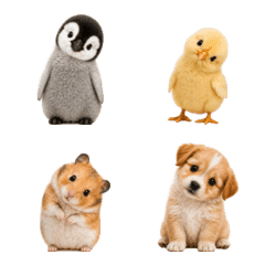 Baby Animal Reactions