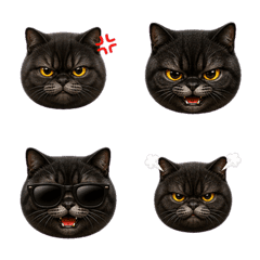 Black Smoke Cat Emoji Many ...