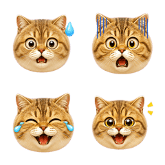 Brown Tabby Cat Emoji Many Moods