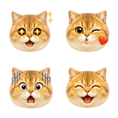 Gold Shaded Cat Emoji Many Moods