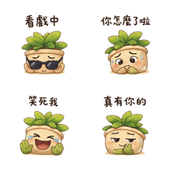 害羞盆栽｜嘴硬熟友24